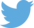 Twitter Icon